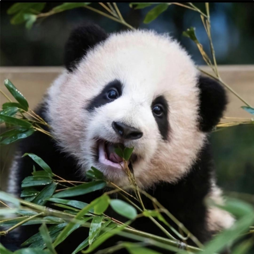 💞ꦿ᭄ཽ࿆无权温柔ღ