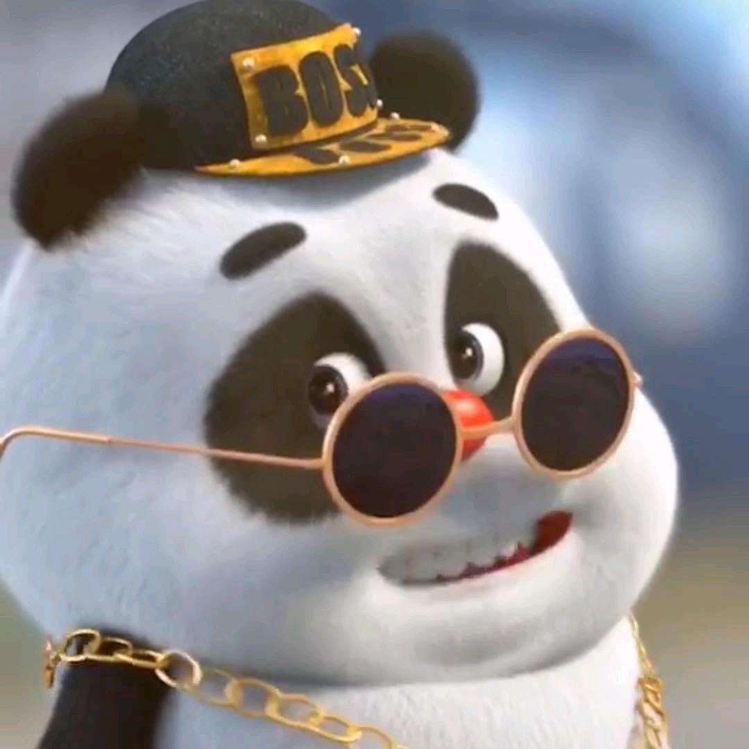 小熊猫🐼🐼