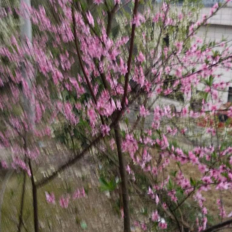 我信刘