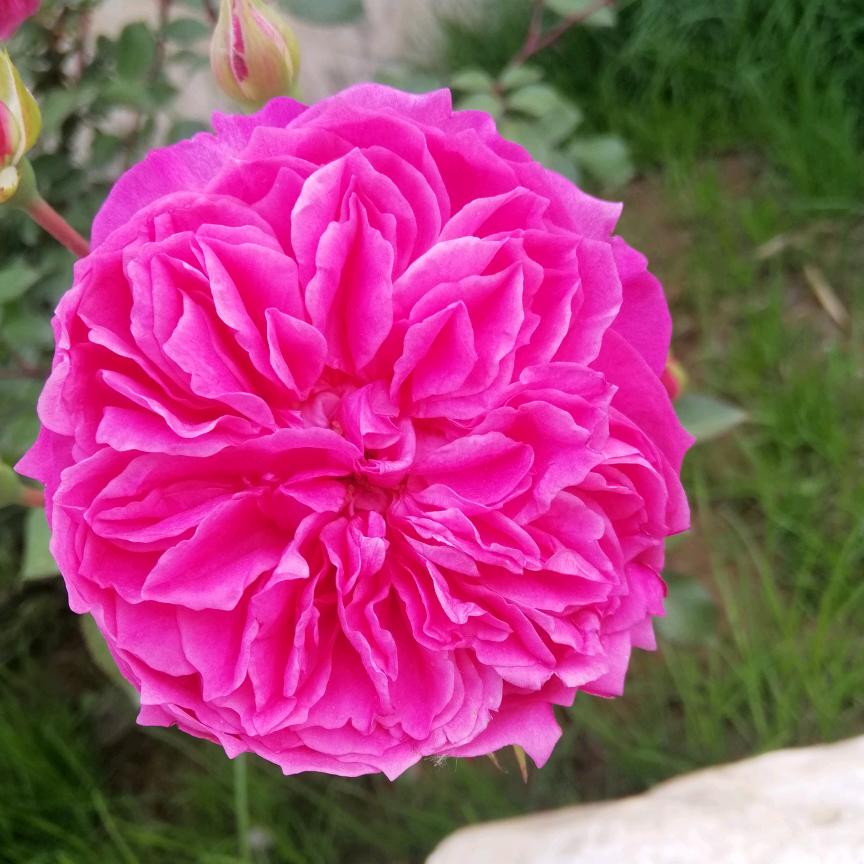 ≯佳༅༂ྲЖ≮