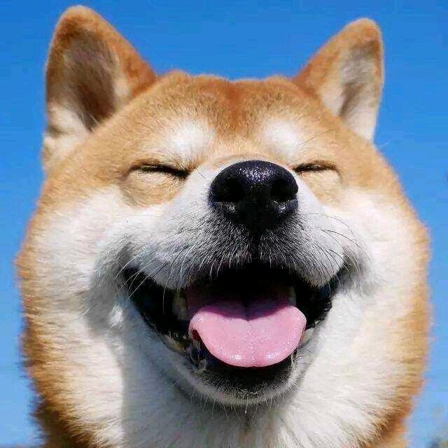 神王（助理）