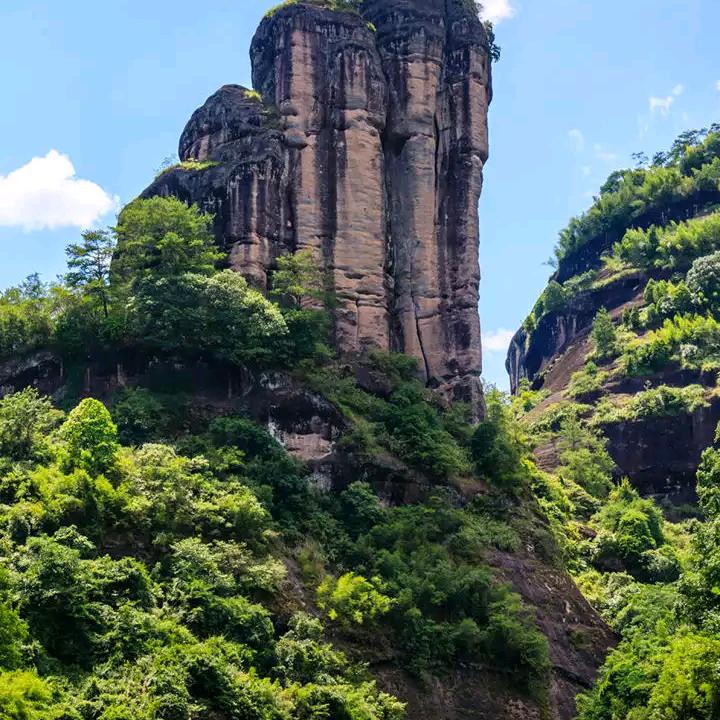 美好明天