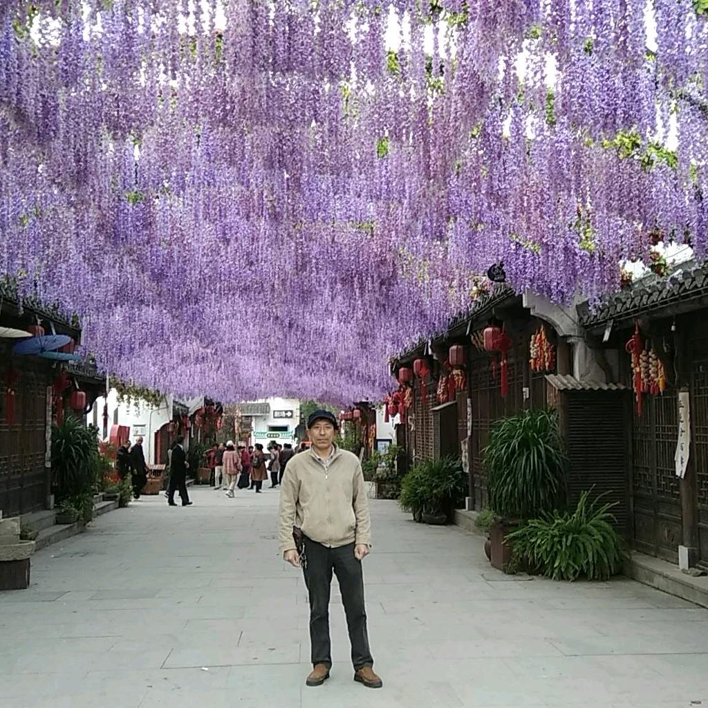 唐寅