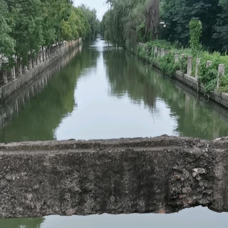 孙姐