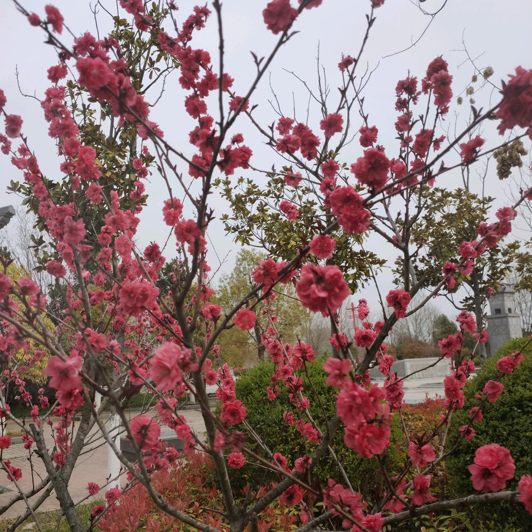 阳光