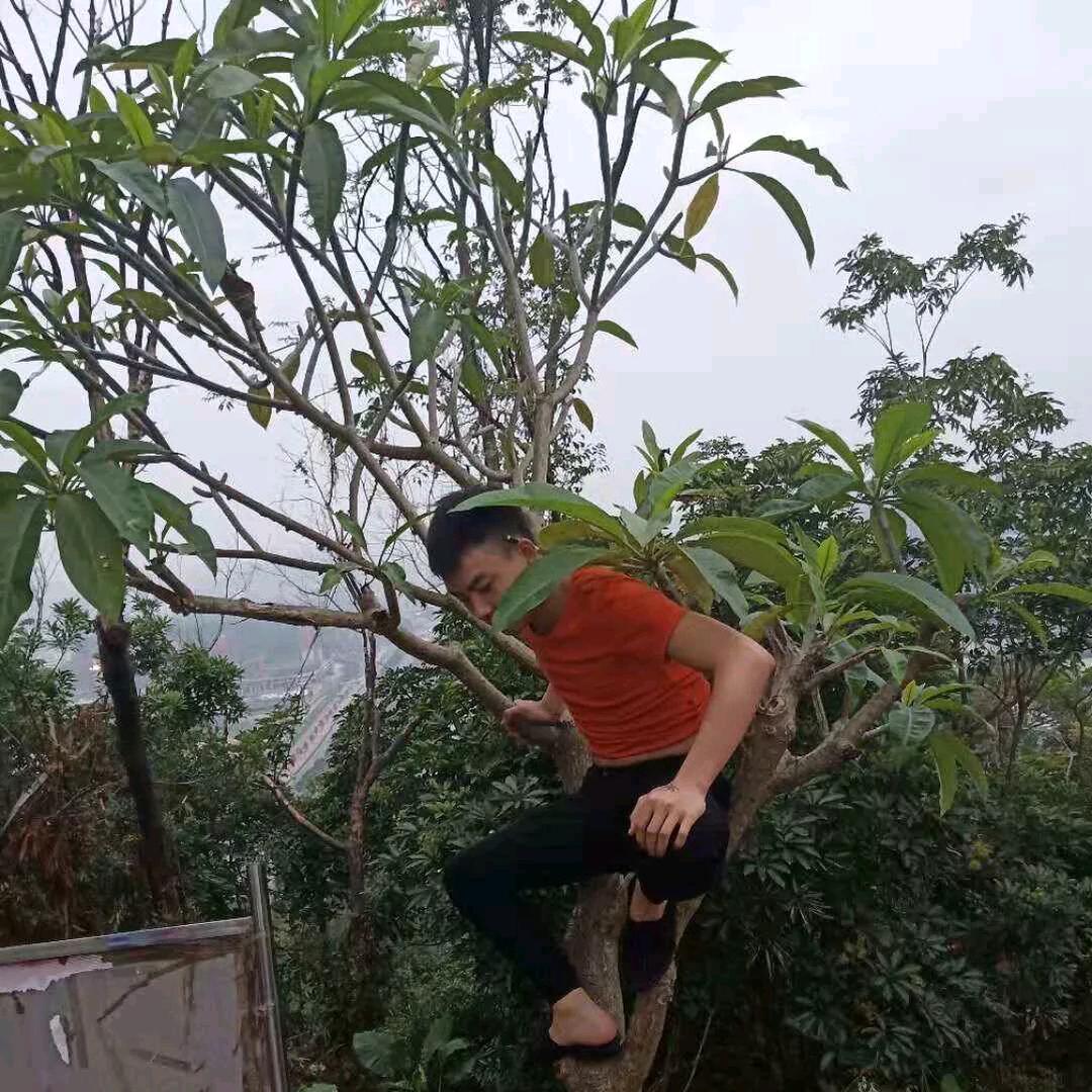 小 鬼