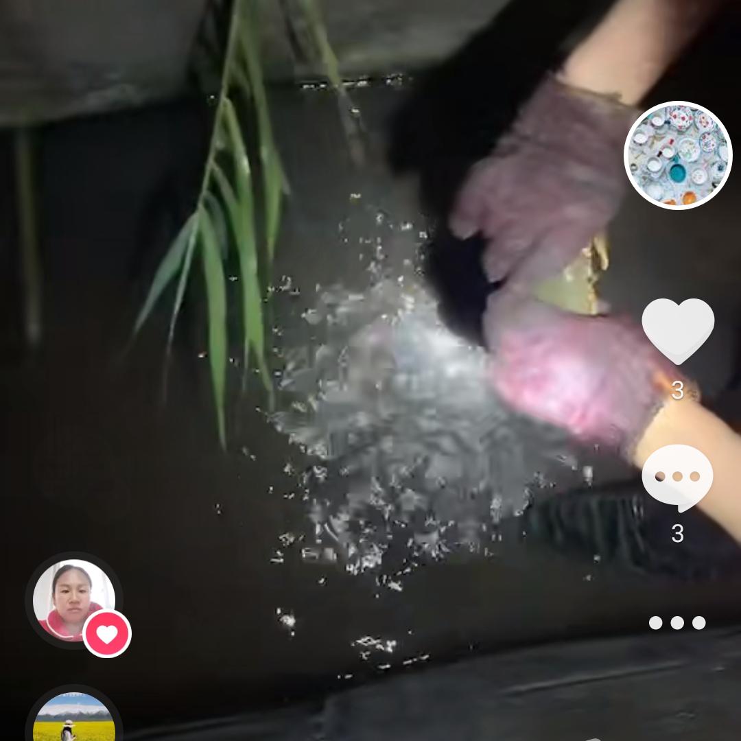 鼎海餐饮有限公司-缪德利