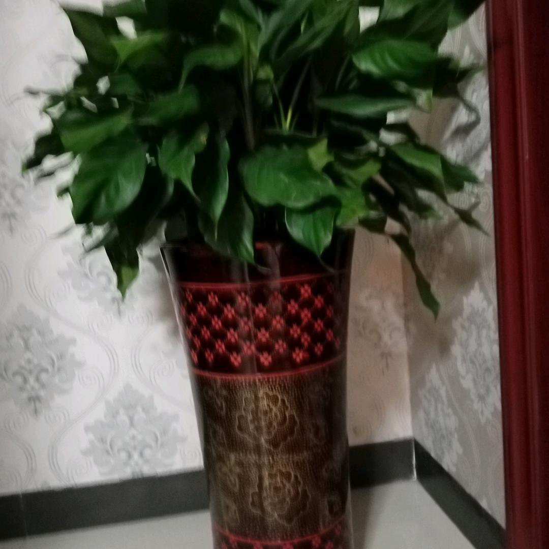 你我是朋友