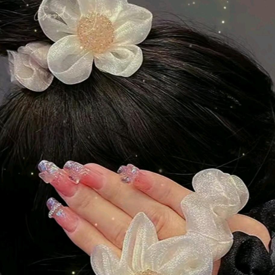 小城燕子飞