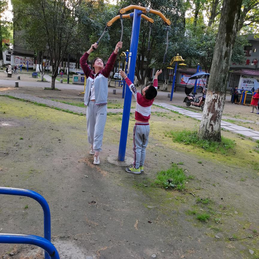 郑意盎然