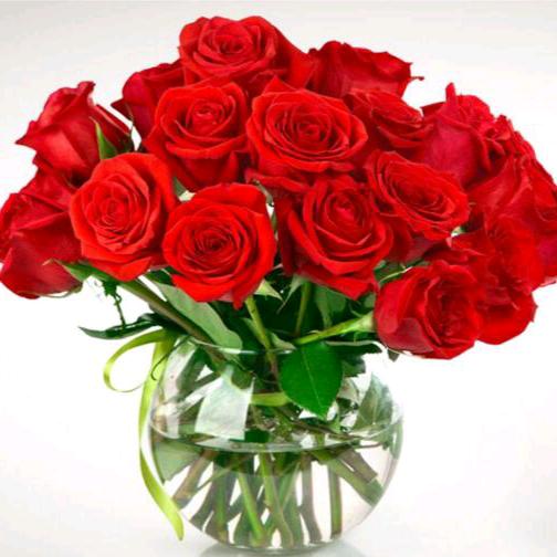 等爱的玫瑰🌹