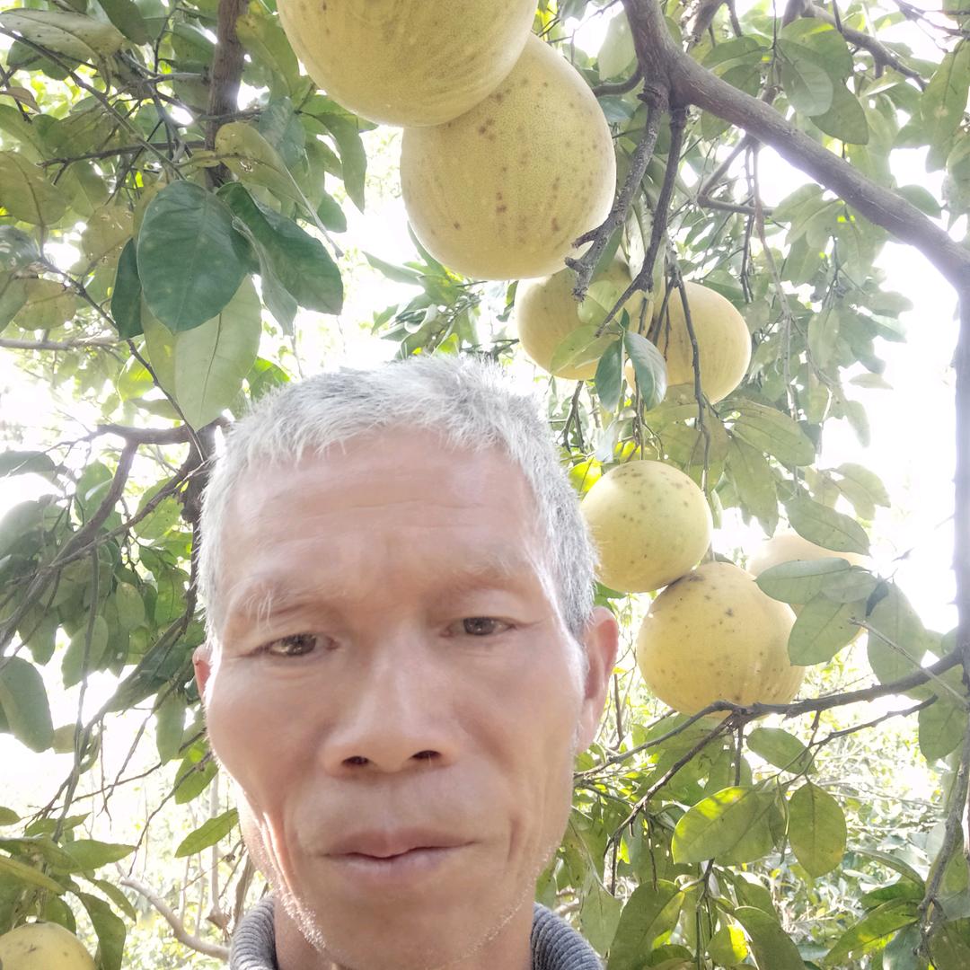 华容县洞庭湘韵味果林种养专业合作社