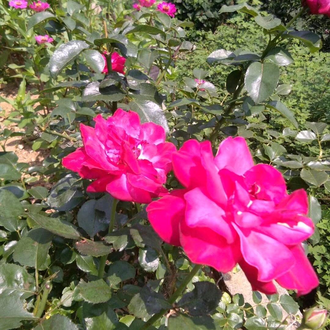 我是谁