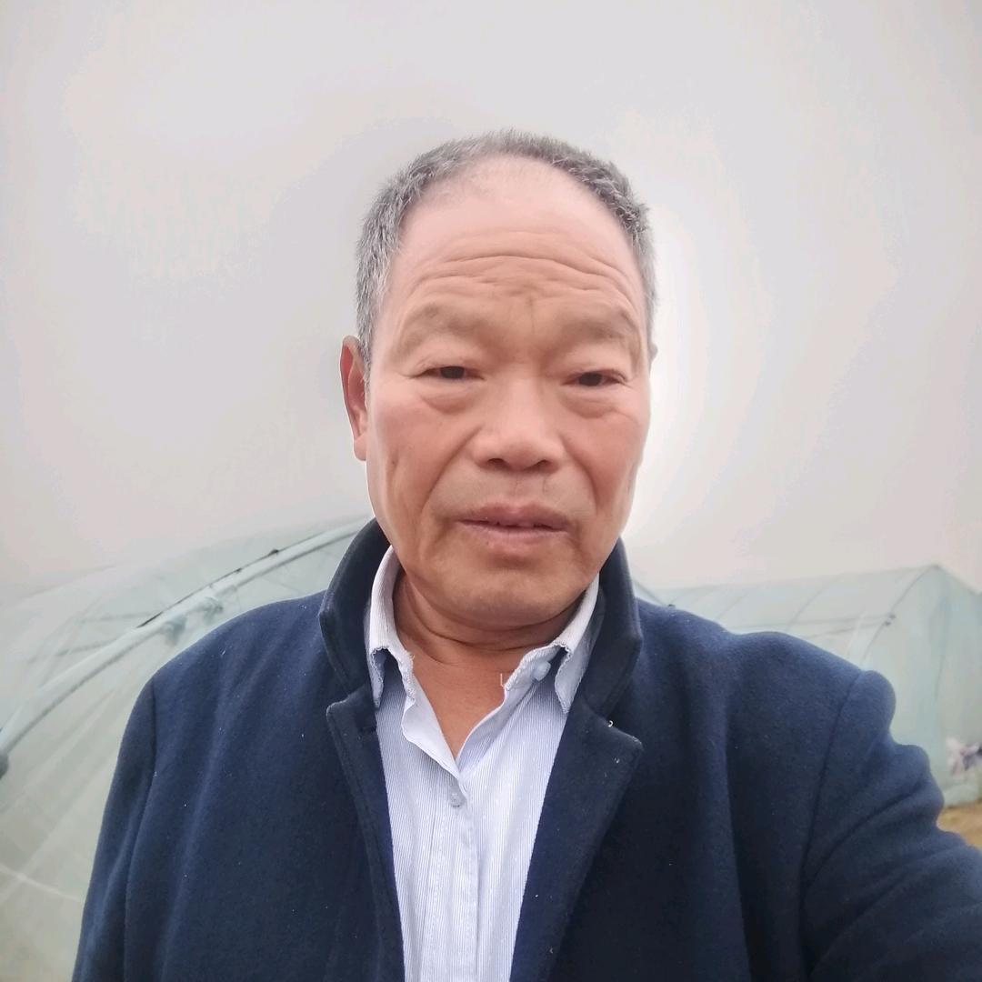 红芋种苗，崔欢尚