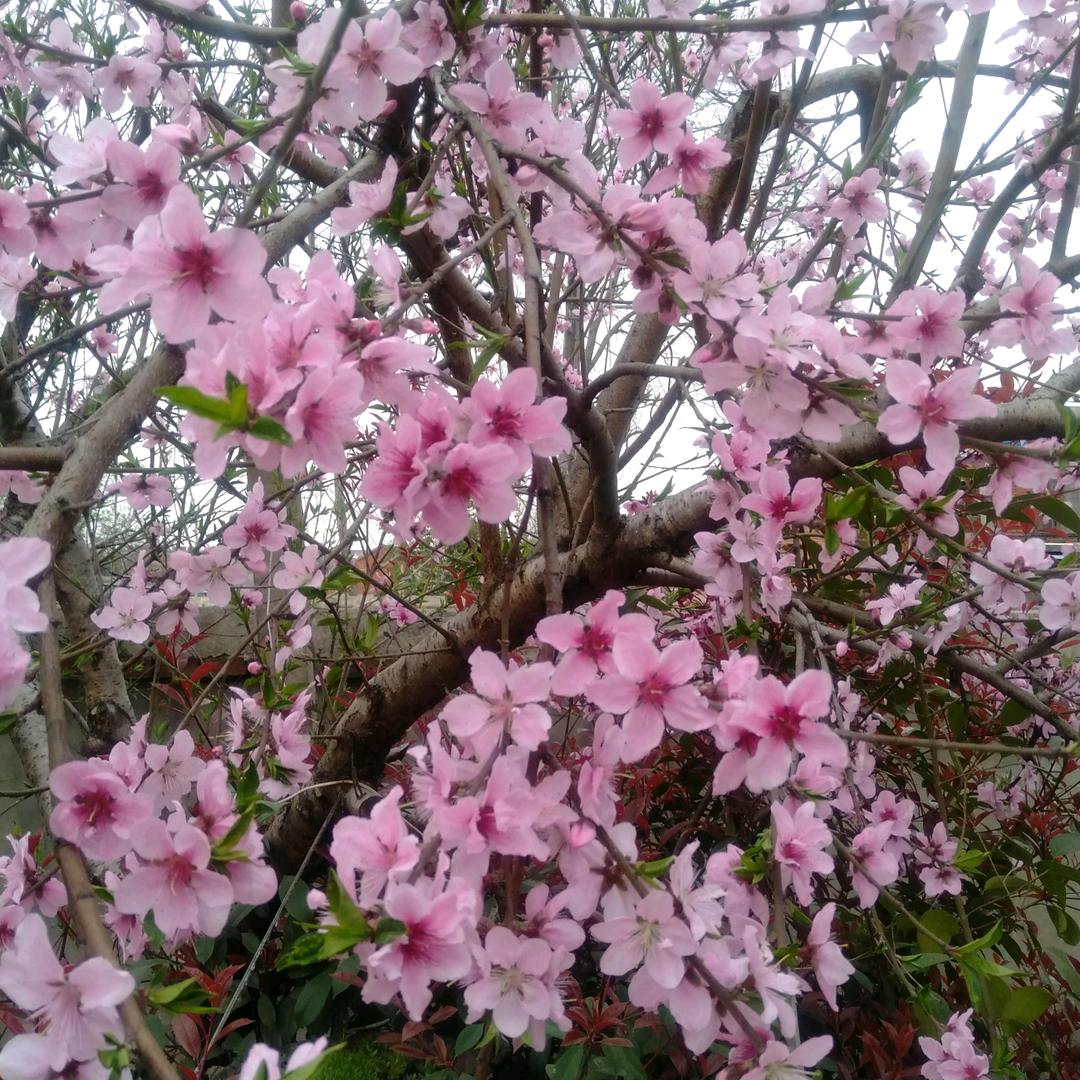 往后余生好好对自己。