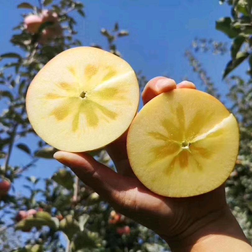 新疆阿克苏冰糖心苹果，代收，代发，🍎