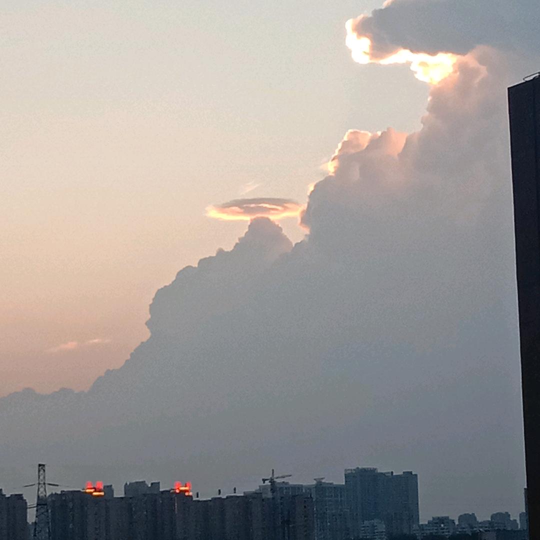り 宿命