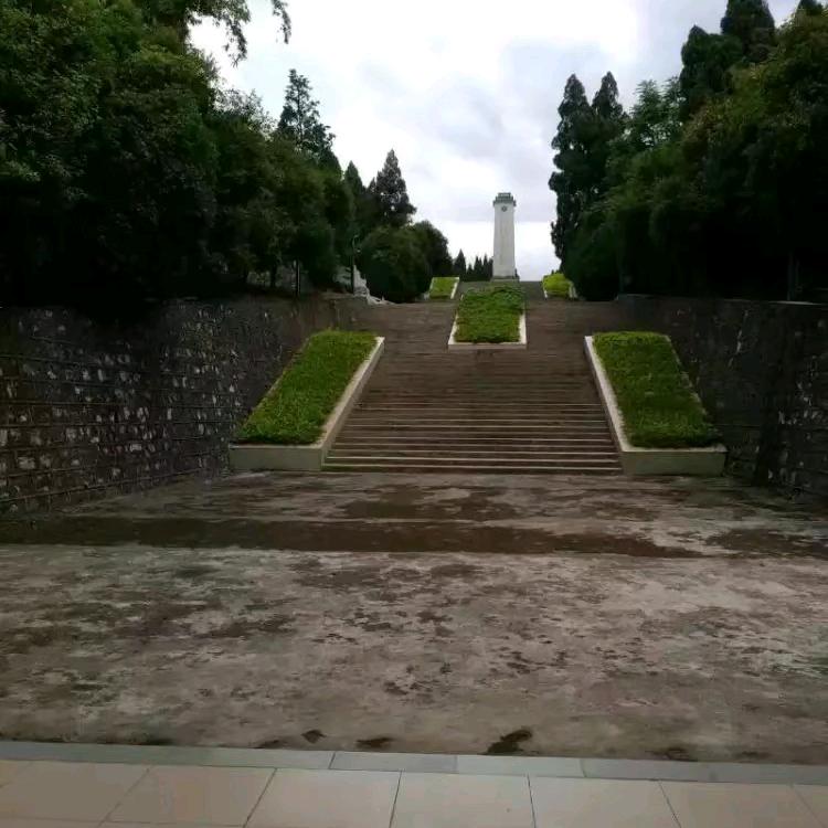 我来看你啦