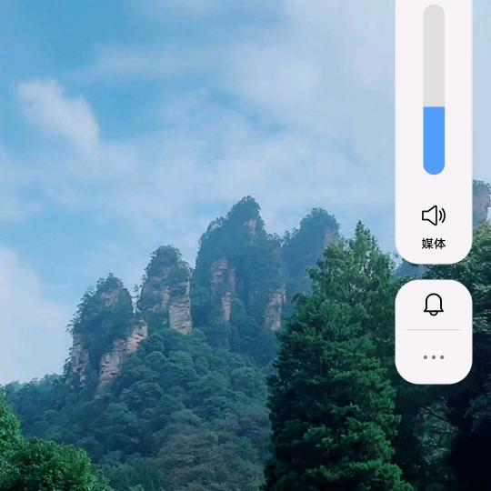香椿王