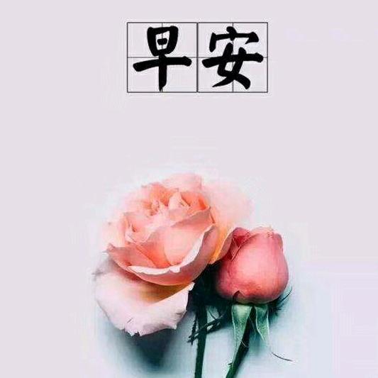 安家房产建花姐