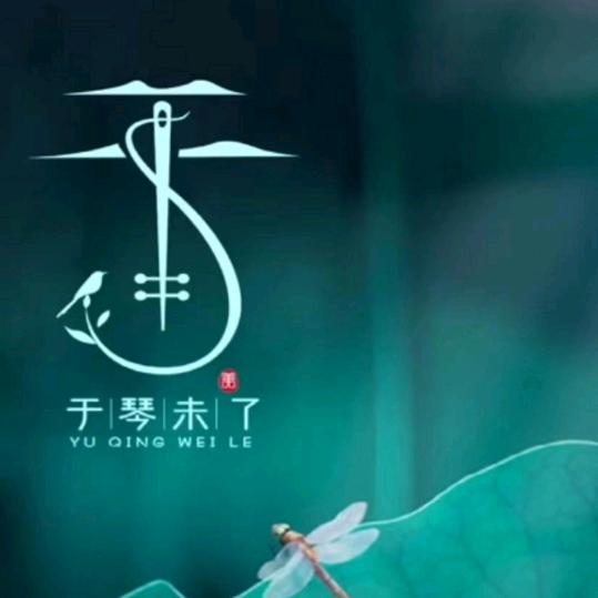 一天到晚游泳的鱼