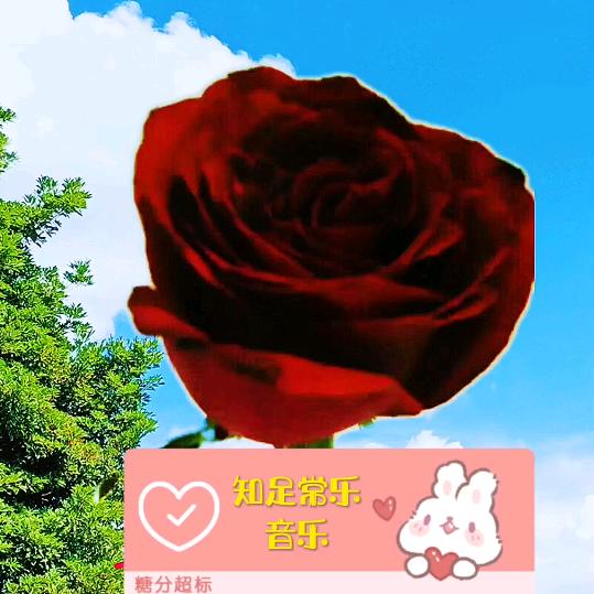 知足常乐101