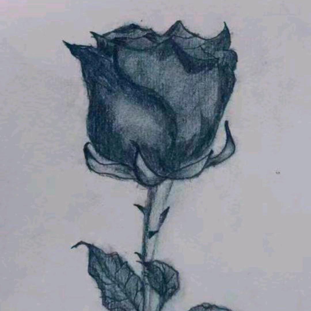꧁꫞💞吴💞꫞꧂🌻