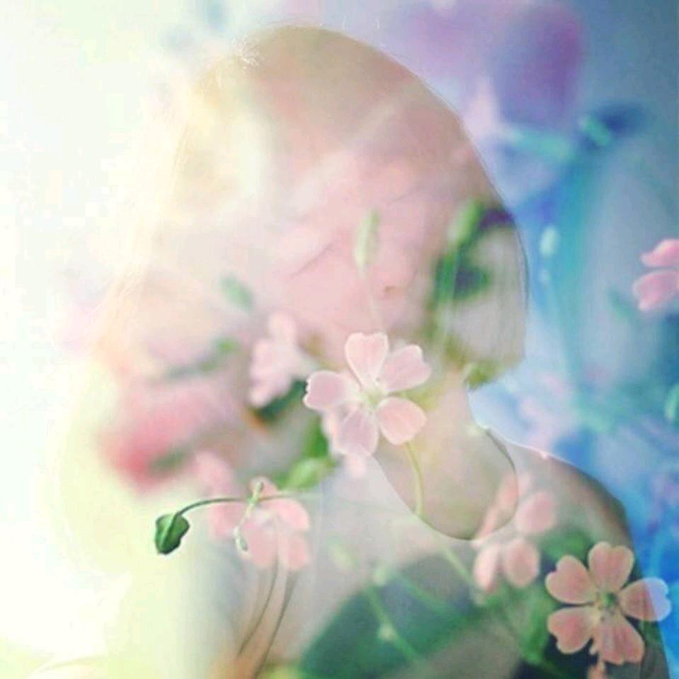白菜mm