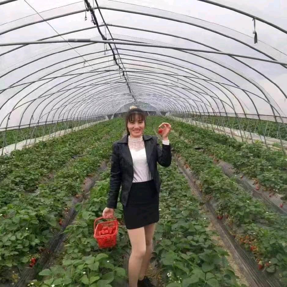 @美丽的春天