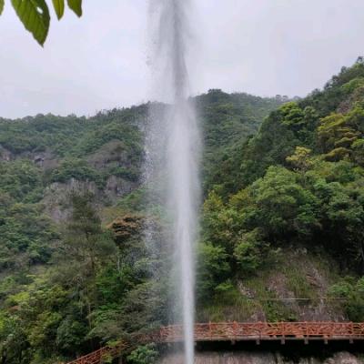 人生选择，谷歌