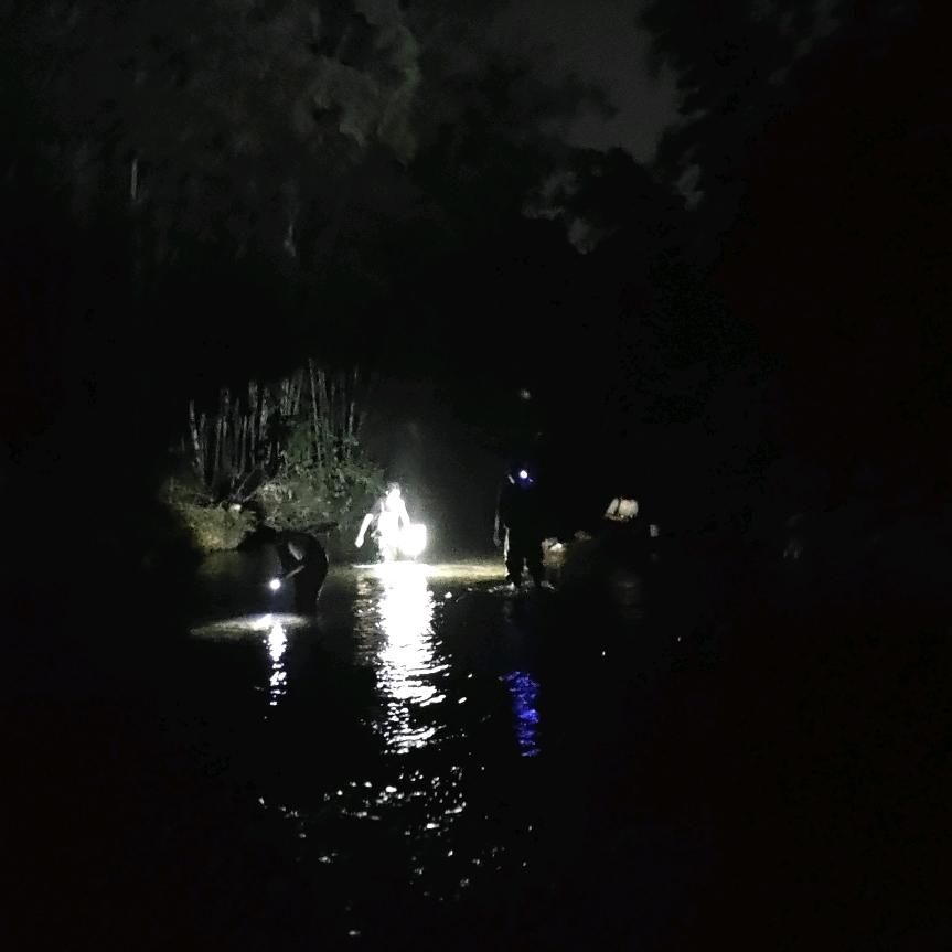 爱野采的小林同学