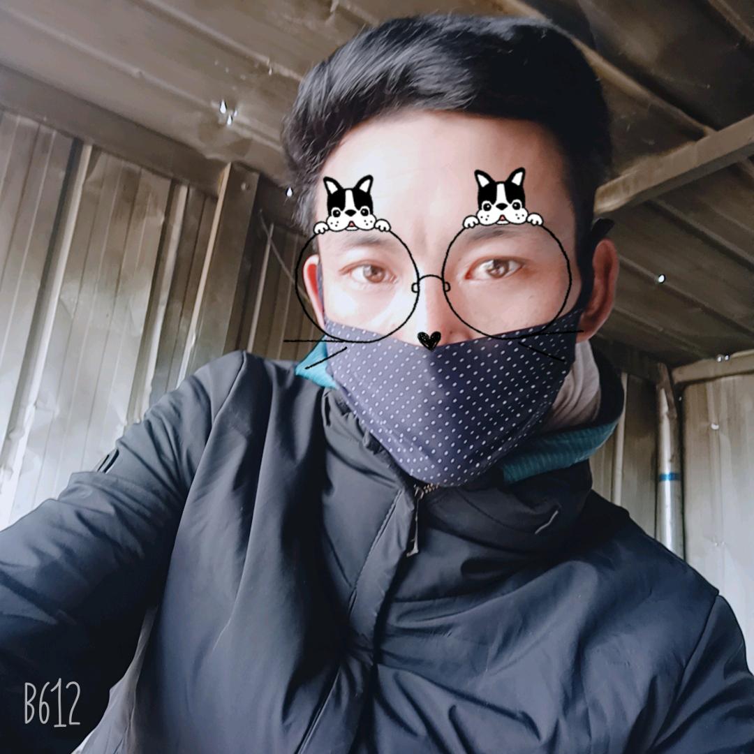 1225536955