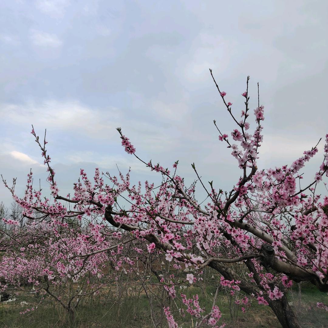 A刘俊明空调收售清洗