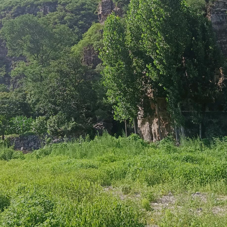 -岁月静好.