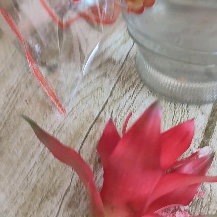 回不去的过去
