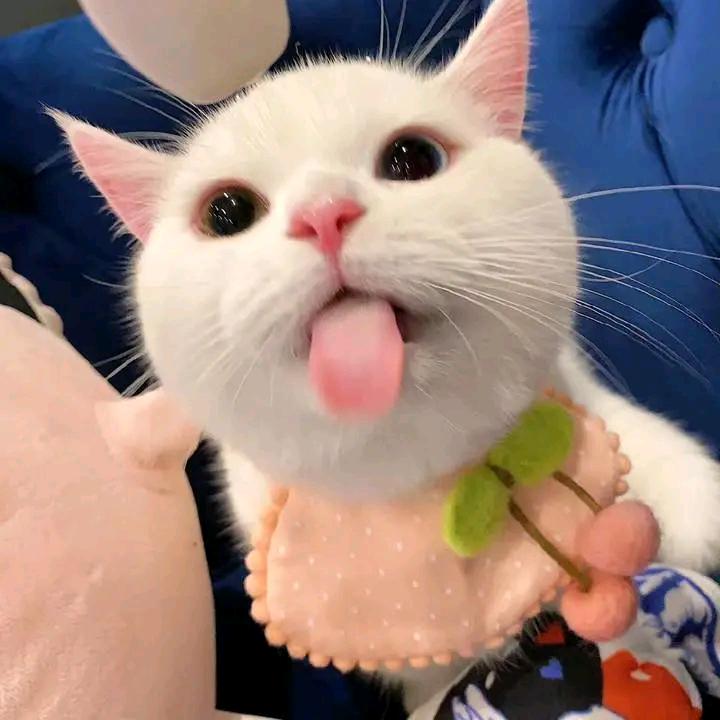 心随境转是凡夫