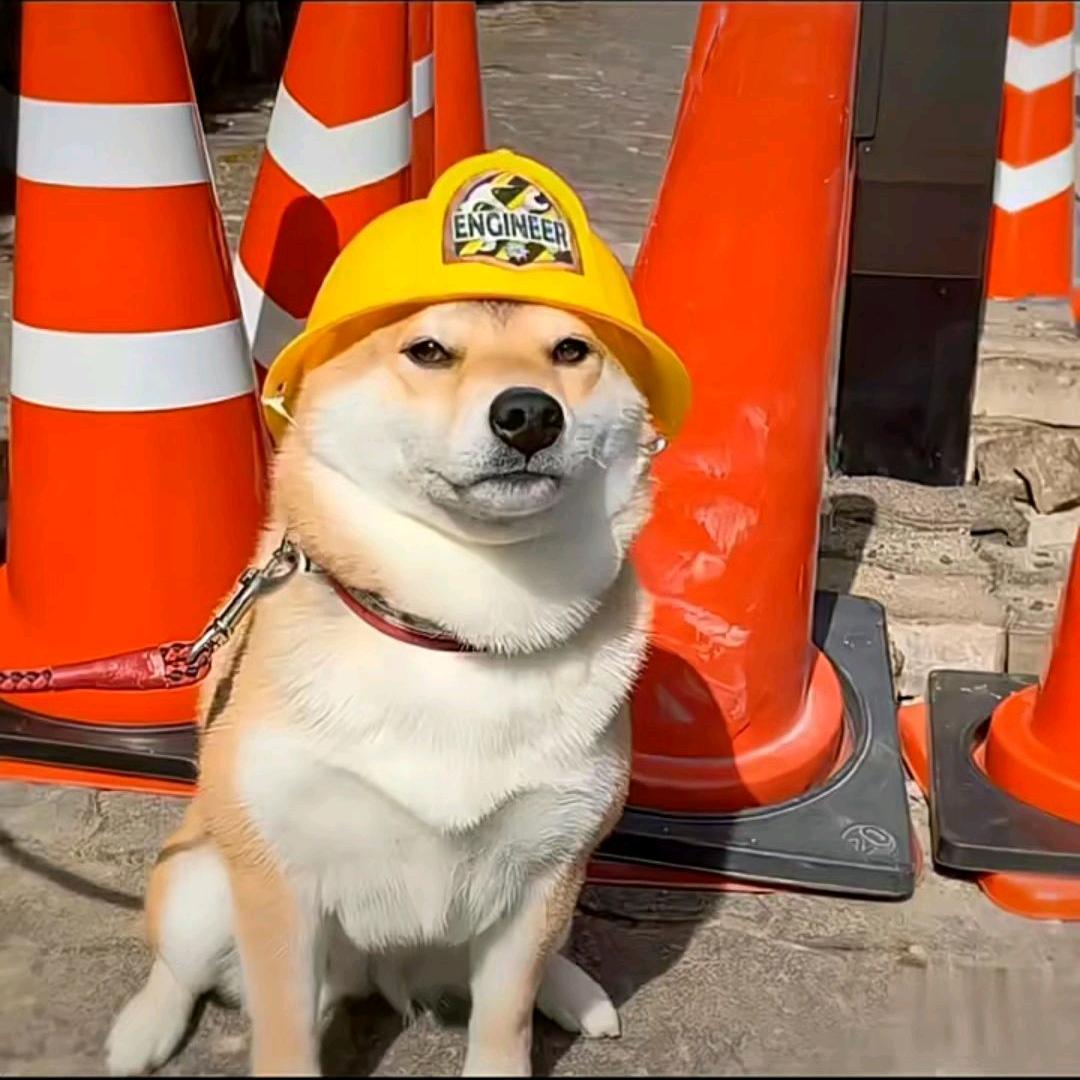 闫慈嗯☺️