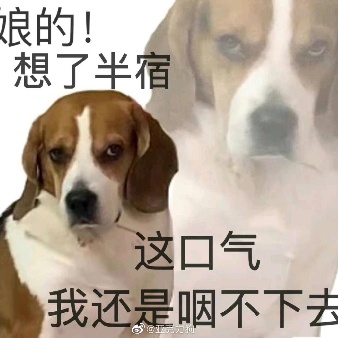 嘟哔嘟哔