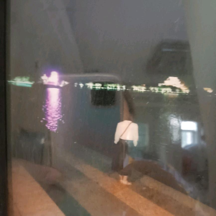 叶子