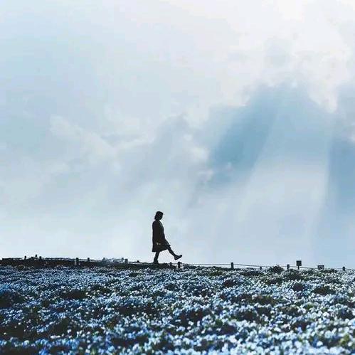 👿小葡萄👿优选好物