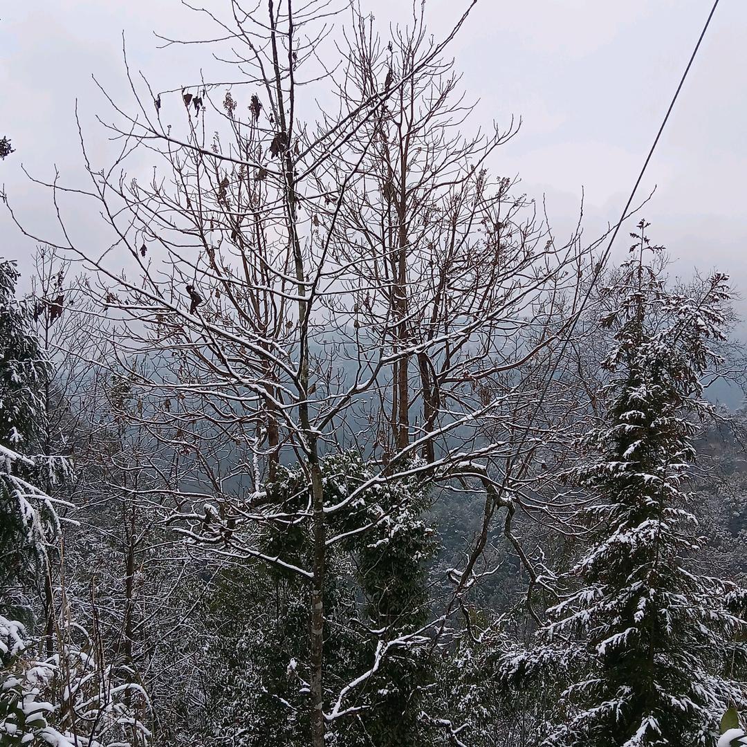 撸起袖子加油干