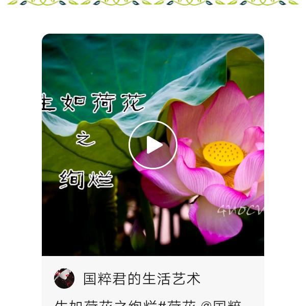 胡琼仪