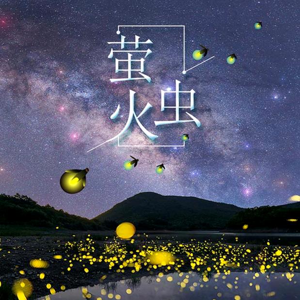 沧州萤火虫装修
