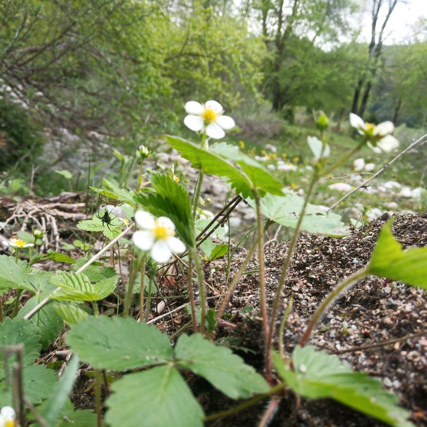 辞忧(˃ ⌑ ˂ഃ )