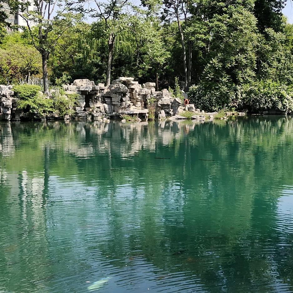 枫叶🍁