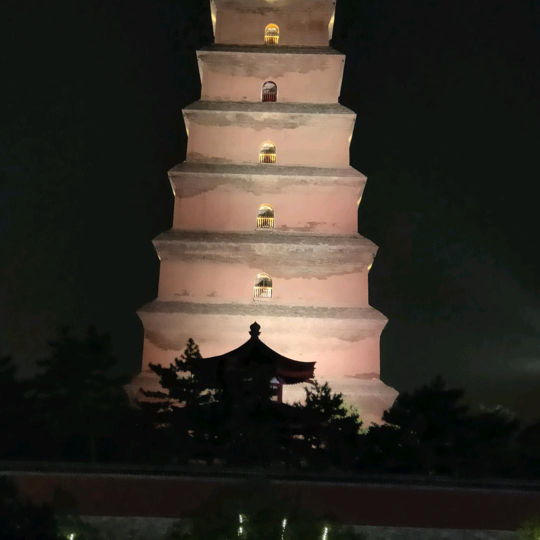 这边风景独好👌🏻🌸 ⁵¹⁵