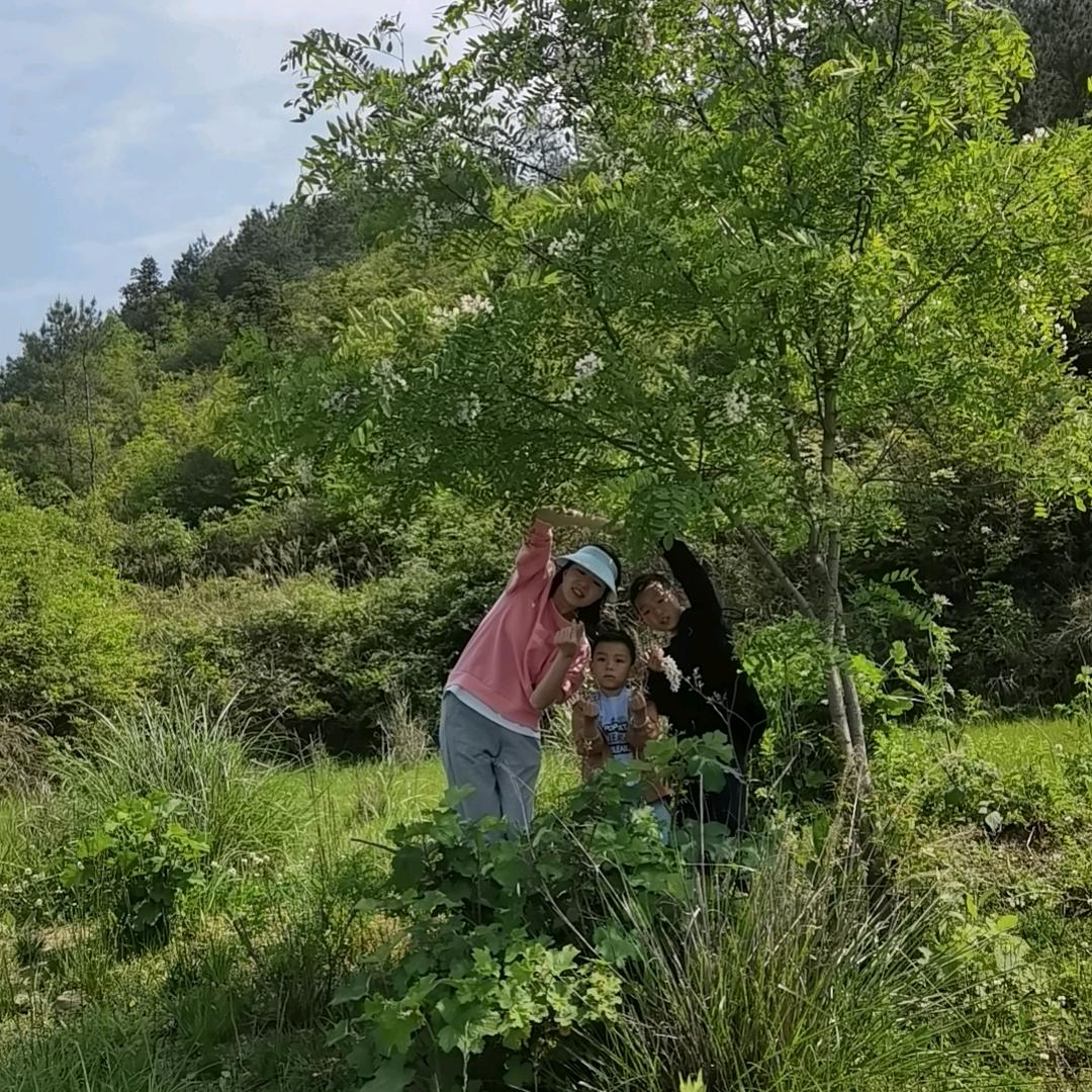诙肽琅