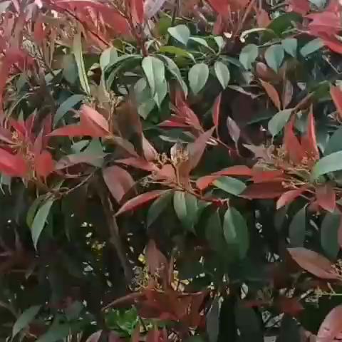 一不留神