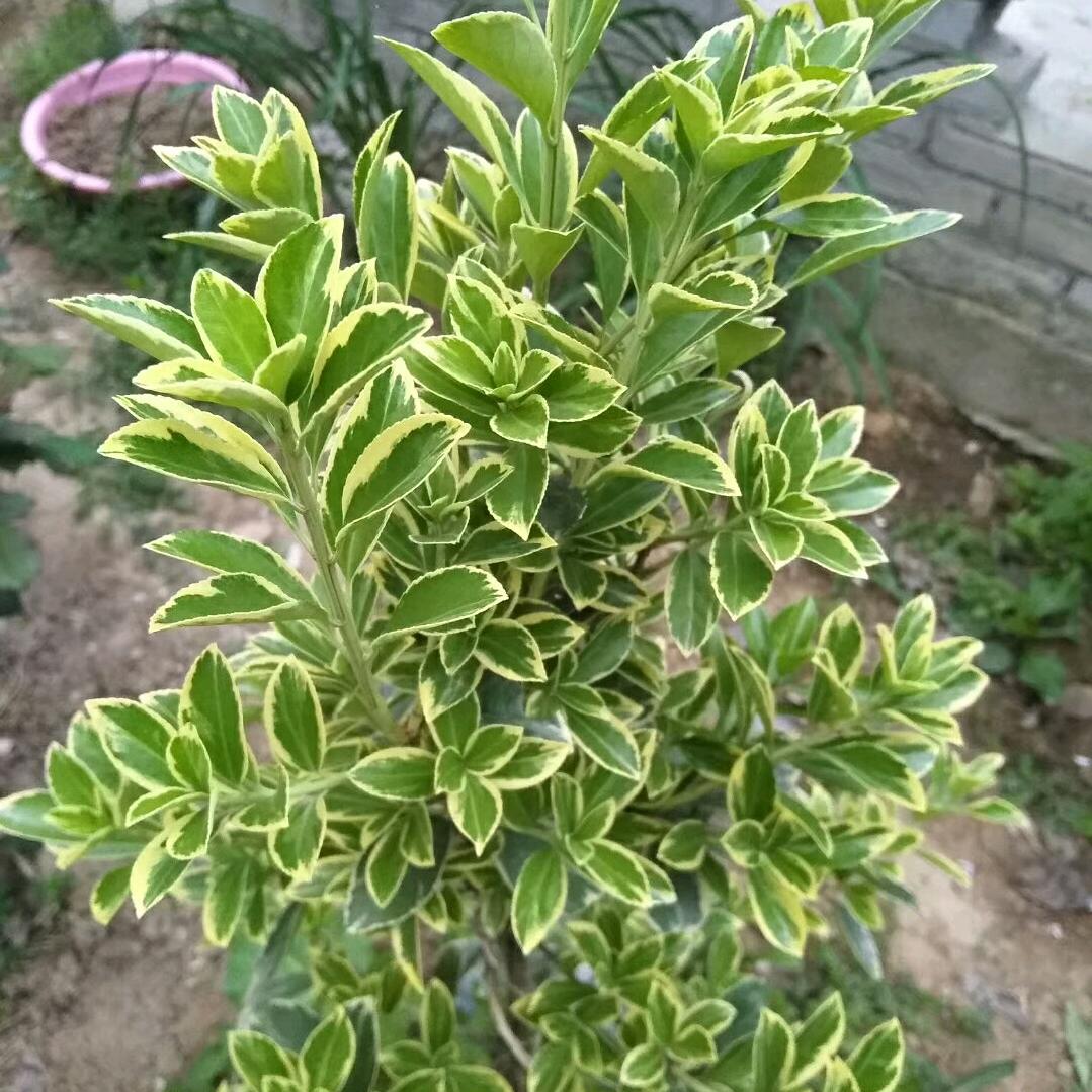 用户27058749672