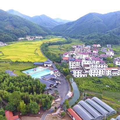 信丰脐橙直销